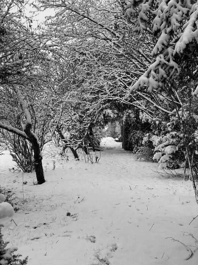 Spurensucher Quartier Usedom Town Esterno foto